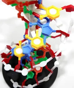Interactive DNA Structure Kit – For Medical & Biology Education 10 PixPin 2025 04 13 15 39 27 png