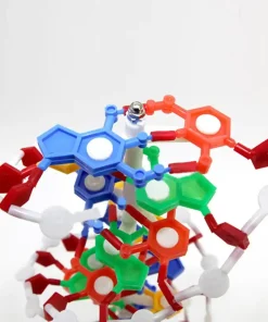 Interactive DNA Structure Kit – For Medical & Biology Education 11 PixPin 2025 04 13 15 39 36 png