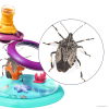 Bug Catcher Kit for Kits– Magnifying Glass & Insect Observation Box for Outdoor Exploration 1 PixPin 2025 04 16 12 50 29